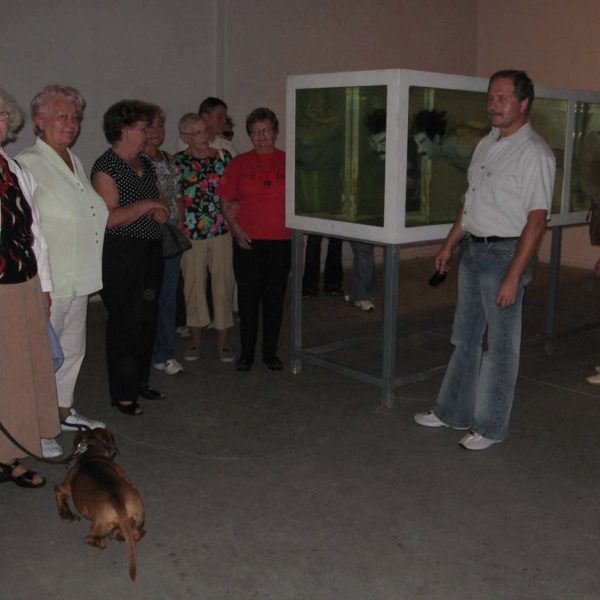 zabrzanska spoldzielnia mieszkaniowa